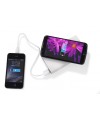 Power bank DOUBLE 8000 mAh