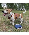 Frisbee dla psa RINGO