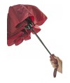 Parasol REGO