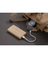 Power bank SILVA 8000 mAh